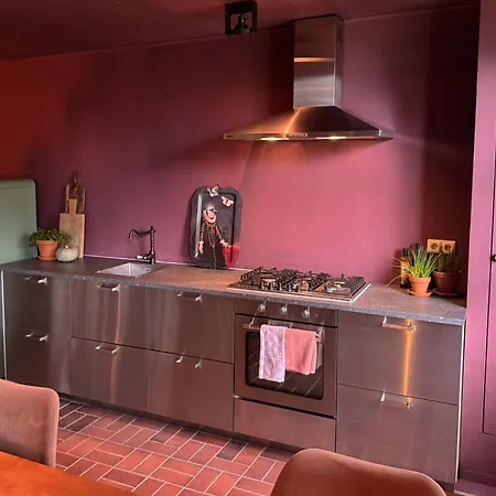 Holiday home De Noorderzon Benningbroek