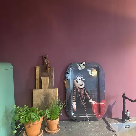 Σπίτι διακοπών De Noorderzon *