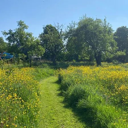 De Noorderzon Benningbroek