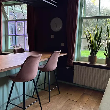 De Noorderzon